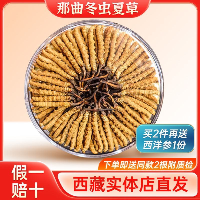 冬虫夏草虫草西藏发货新干草冬虫草礼盒装