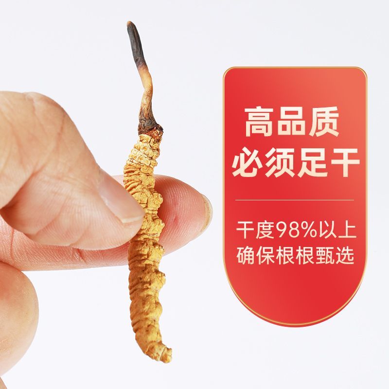 冬虫夏草虫草西藏发货新干草冬虫草礼盒装
