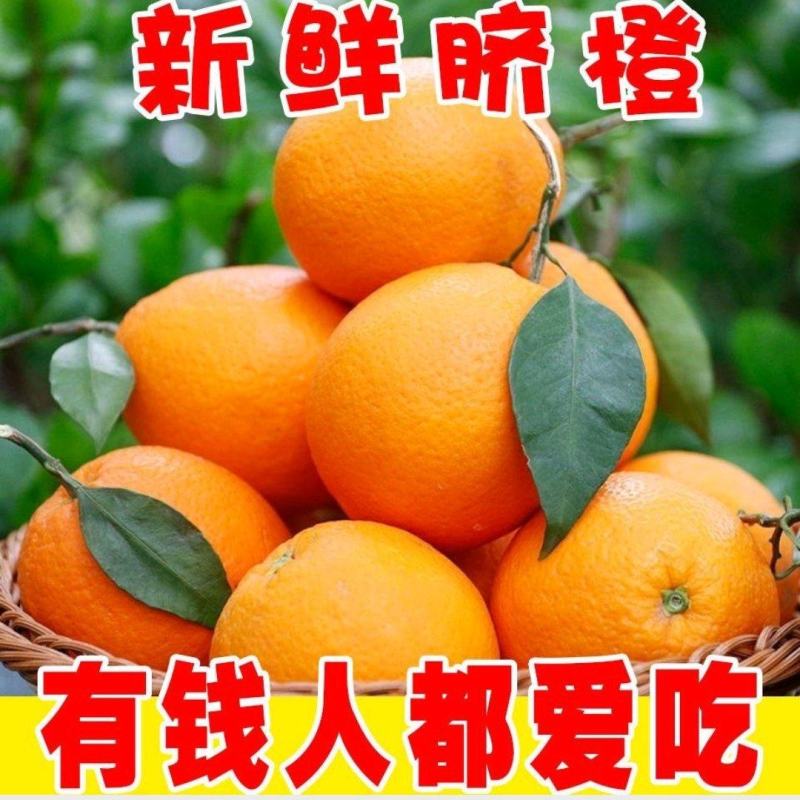 新鲜夏橙脐橙子当季水果手剥冰糖甜橙江西赣南脐橙整箱批发价