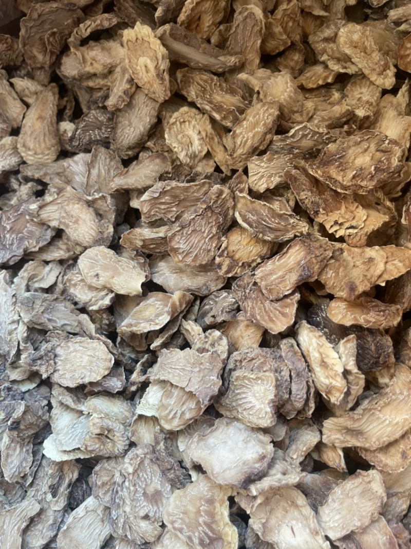 沙漠冬季肉苁蓉切片