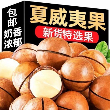今年新货奶香大颗粒夏威夷果壳薄肉厚干果量大优惠手捏夏果
