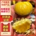 【炒货店专用】山东高山老树精品板栗,粒粒饱满,香甜糯黄油
