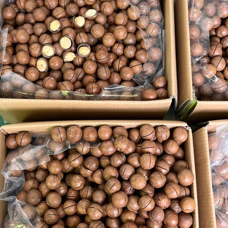 【包邮】夏威夷果大果奶香味夏威夷大果整箱批发价商用批发