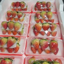 草莓十盒一