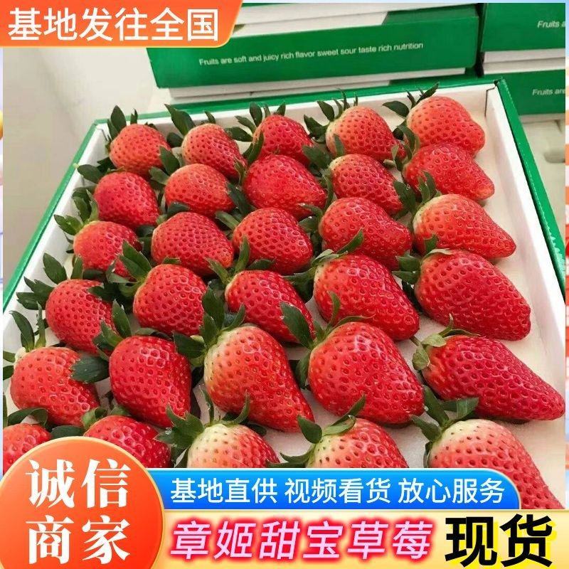 《章姬草莓》山东历城区基地现摘电商批发团购代发