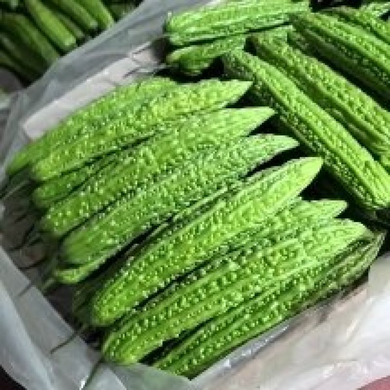 【油绿苦瓜】潍坊油绿苦瓜视频看货实地看货满意为止对接市场商超