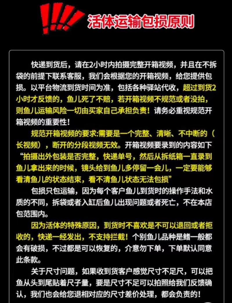 血斑一型雷龙鱼血一冰火雷龙梦幻血斑雷龙鱼网红热带观赏鱼活