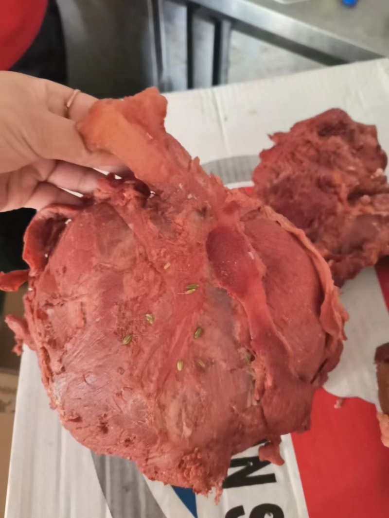 火烧专用肉肉质鲜嫩支持全国各地冷链物流快递运输