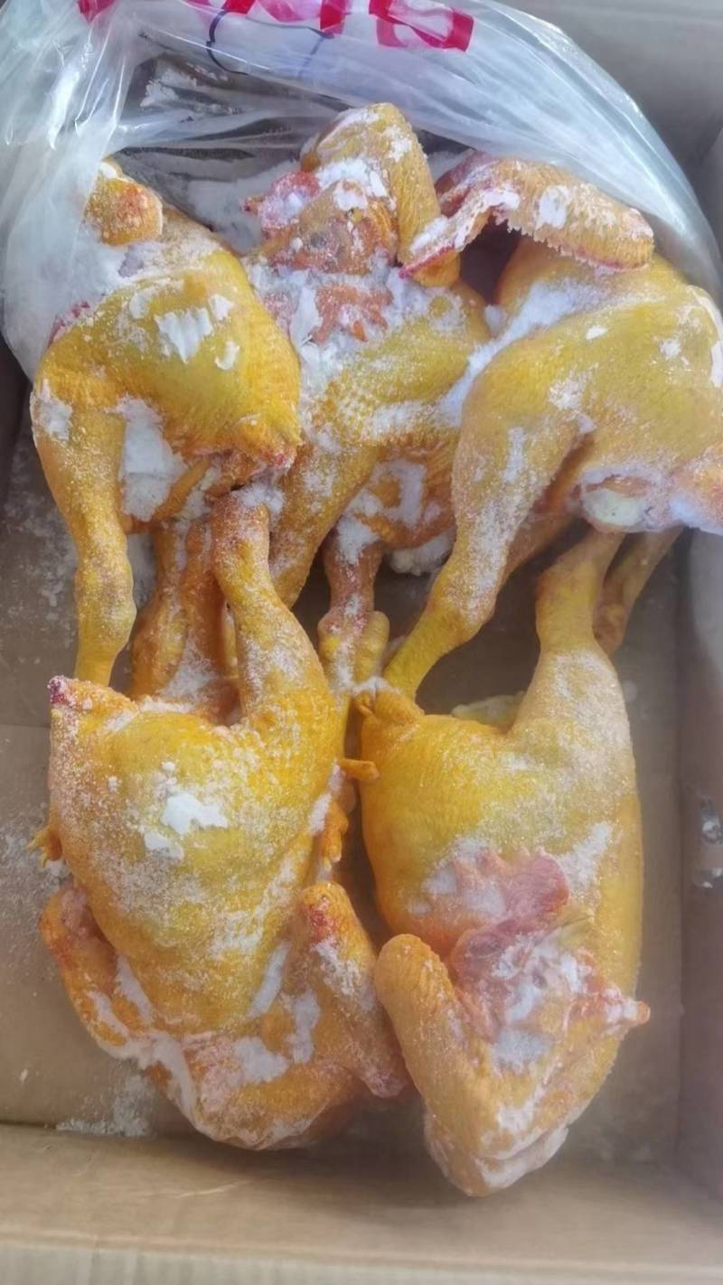 黄脚大冠公鸡，全净膛，半净膛都有，规格齐全