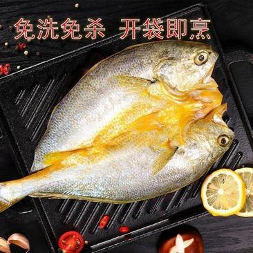 黄鱼鲞厂家直发200g最后一批特价处理规格齐全欢迎咨询