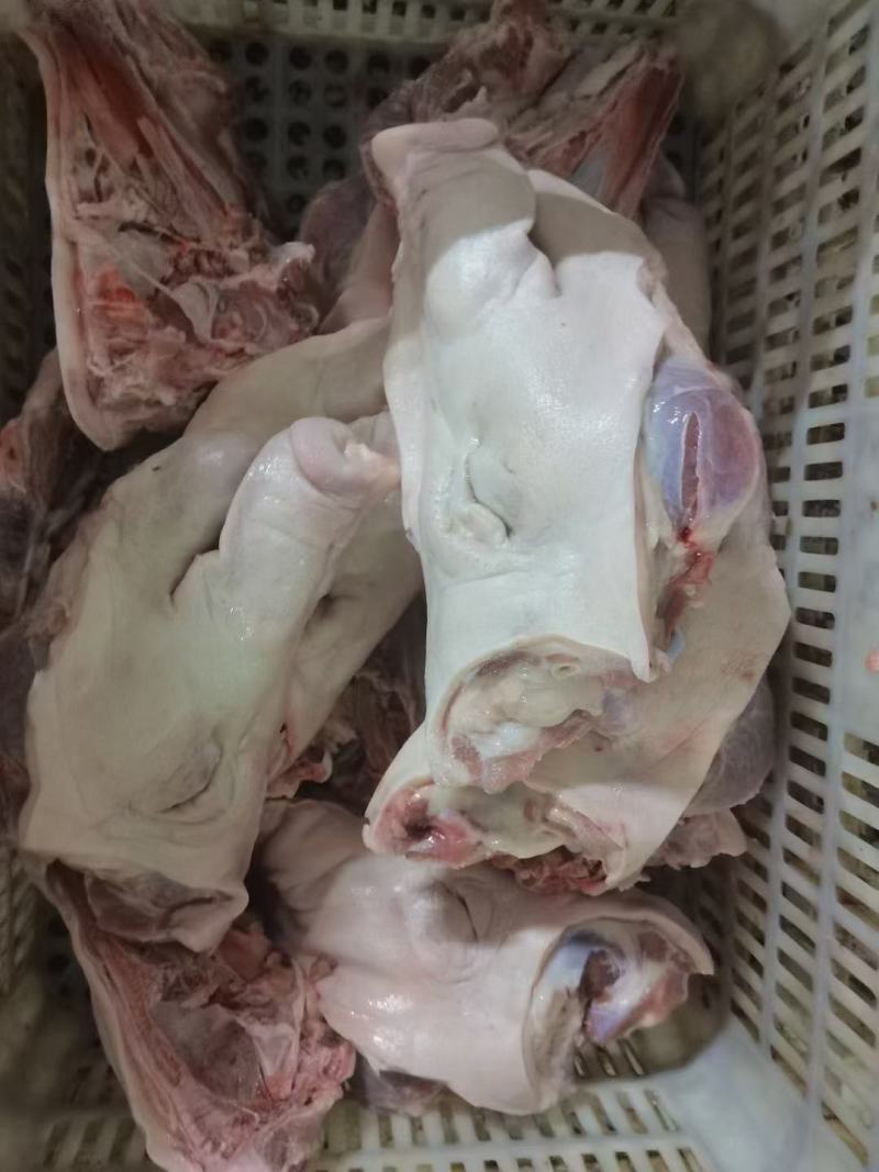 国产劈半无耳猪头