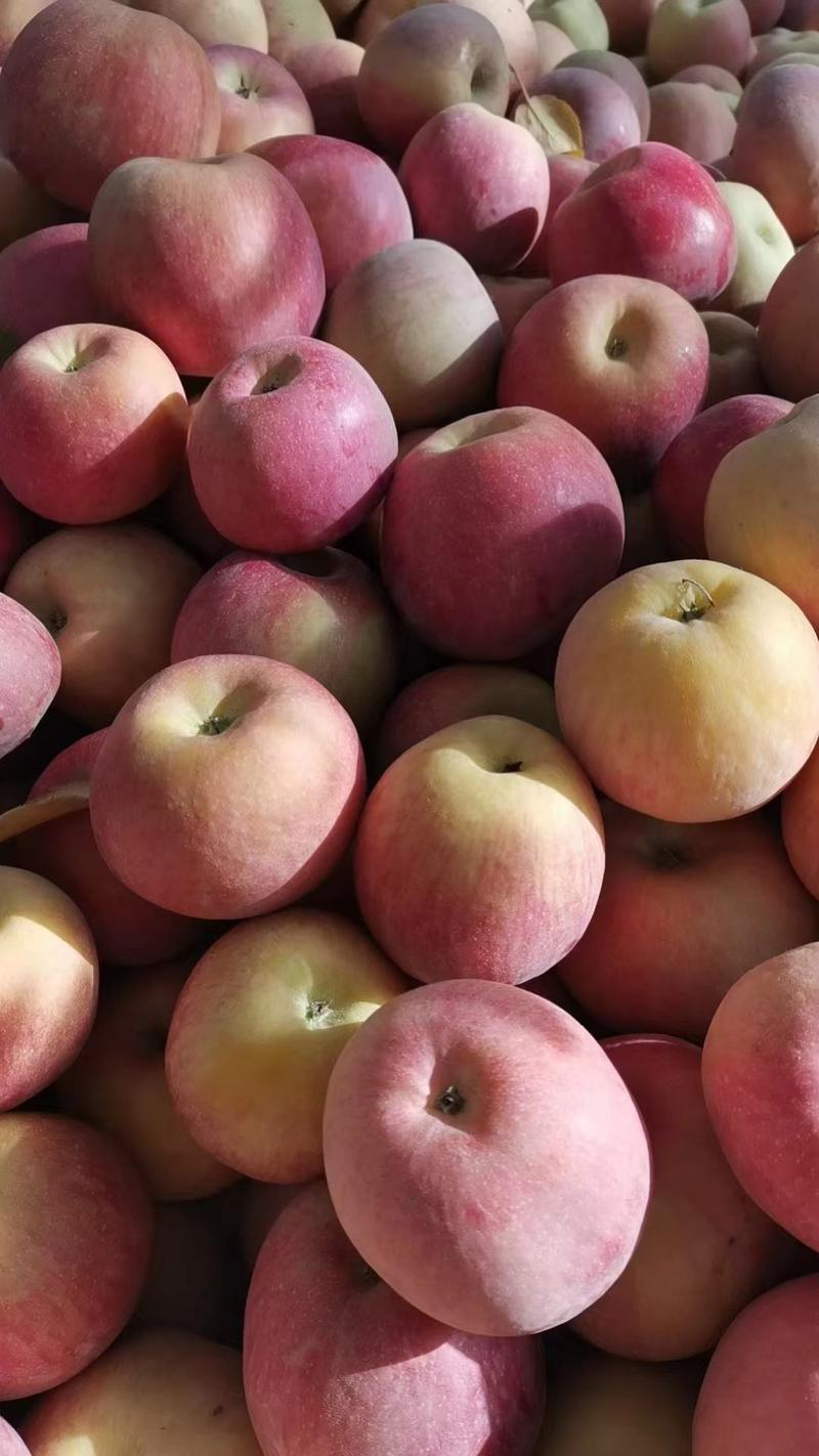新疆阿克苏冰糖心苹果80果以上大果又甜又脆产地直发
