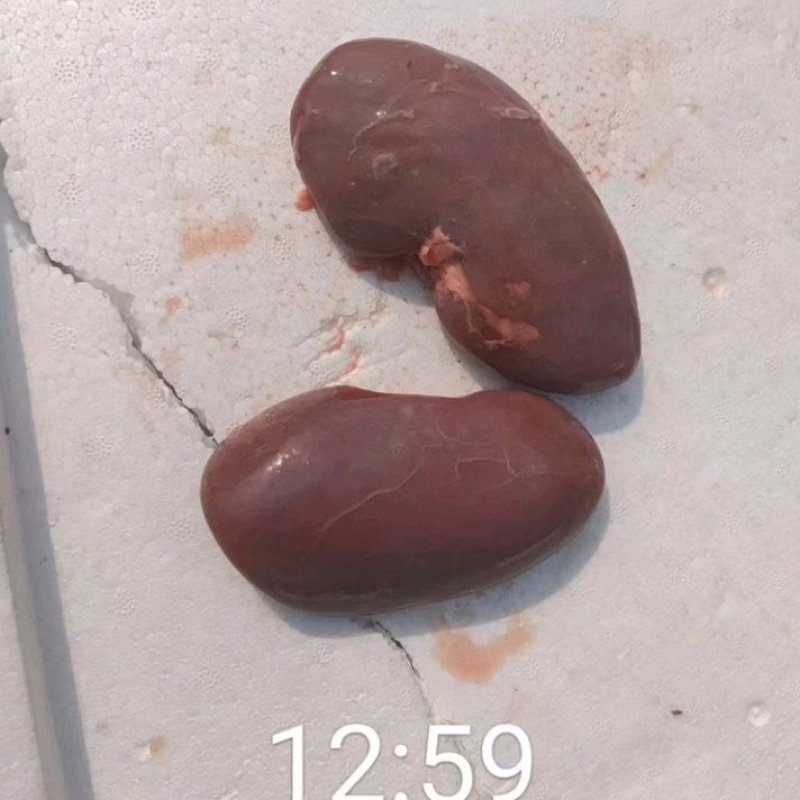 鲜品一级腰子，全国发货！