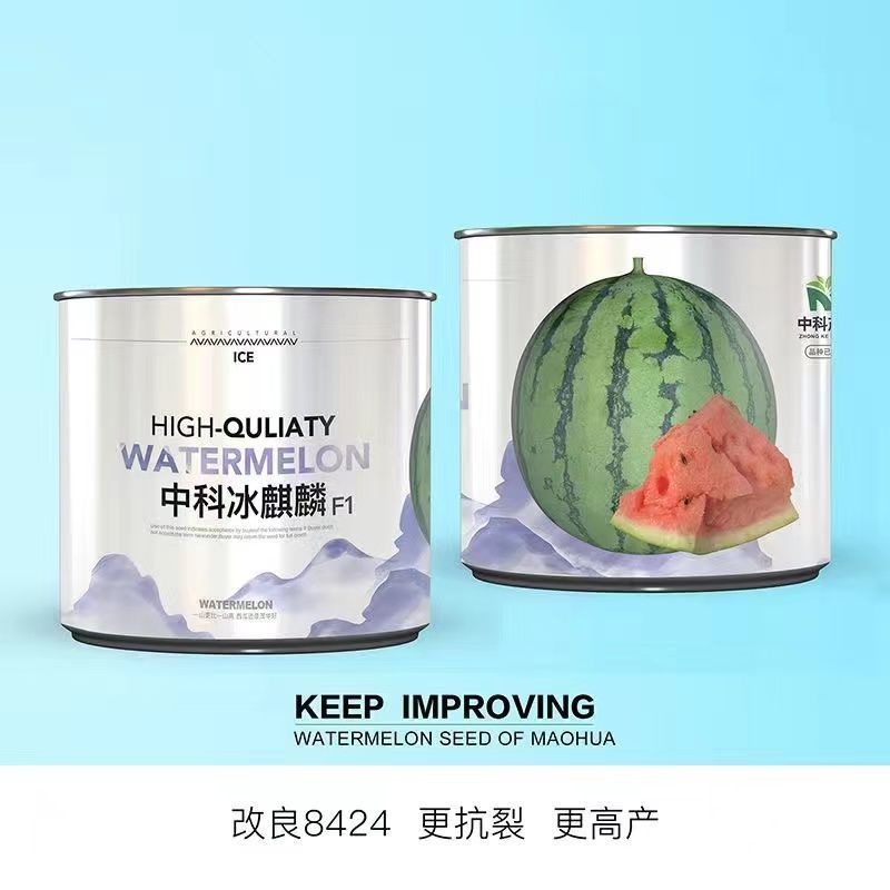 中科茂华瓜果种子中科冰麒麟西瓜种子改良8424替代美都西