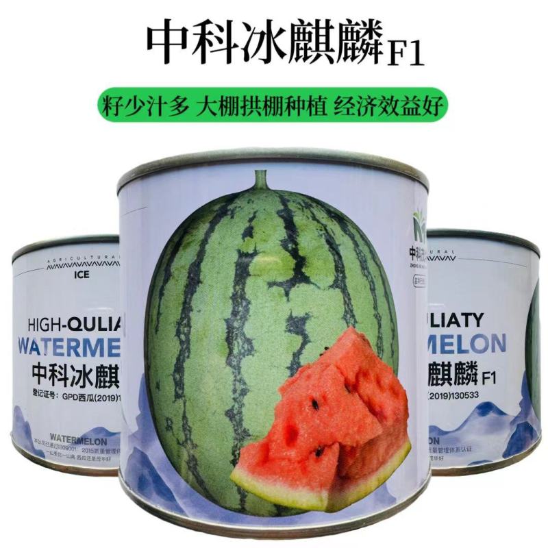 中科茂华瓜果种子中科冰麒麟西瓜种子改良8424替代美都西
