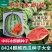 中科茂华瓜果种子中科冰麒麟西瓜种子改良8424替代美都西