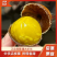 【炒货店专用】山东高山老树精品板栗,粒粒饱满,香甜糯黄油