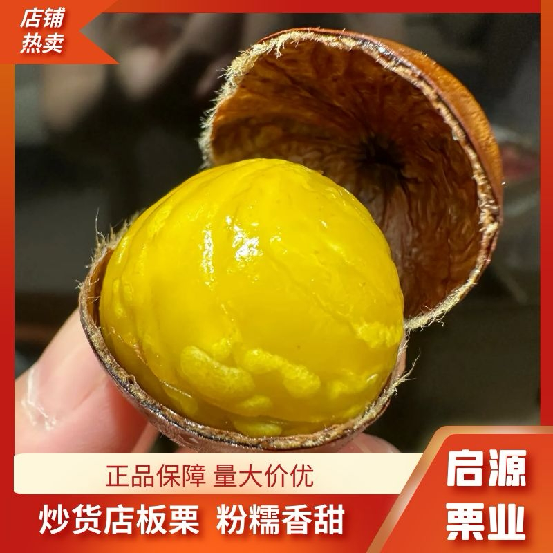 【炒货店专用】山东高山老树精品板栗，粒粒饱满，香甜糯黄油