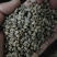 云南大凉山高海拔苦荞麦，品质保障产地供应，可视频看货