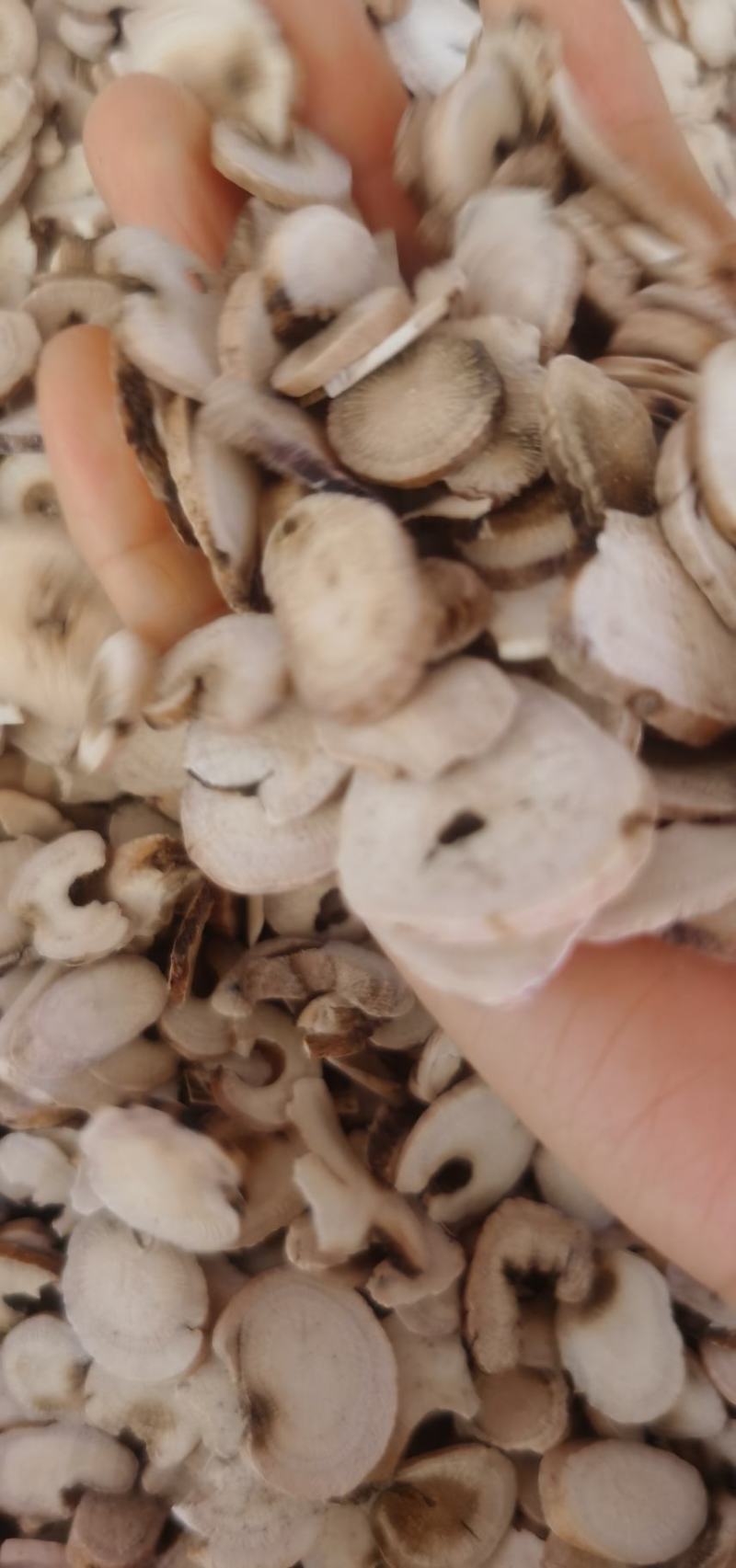 中药材白芍纯无硫足干货源保证一手货源直销批发