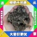 天津干鸡粪批发蓟县发酵鸡粪怎么卖津南纯干鸡粪大量出售