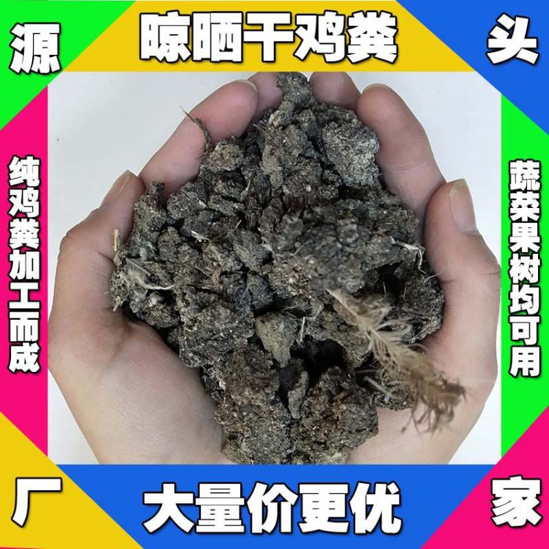 天津干鸡粪批发蓟县发酵鸡粪怎么卖津南纯干鸡粪大量出售