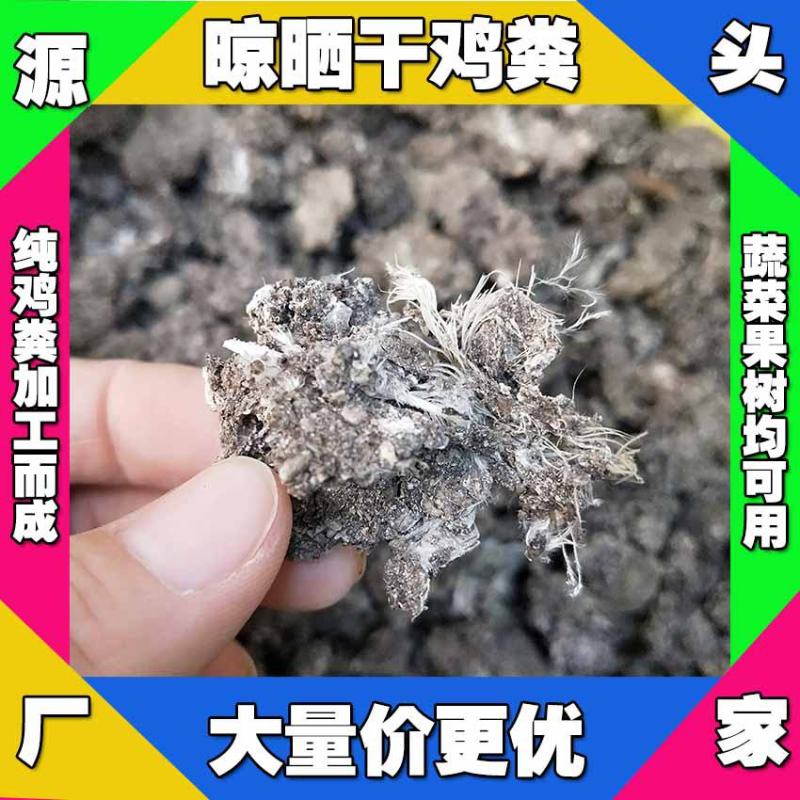天津干鸡粪批发蓟县发酵鸡粪怎么卖津南纯干鸡粪大量出售