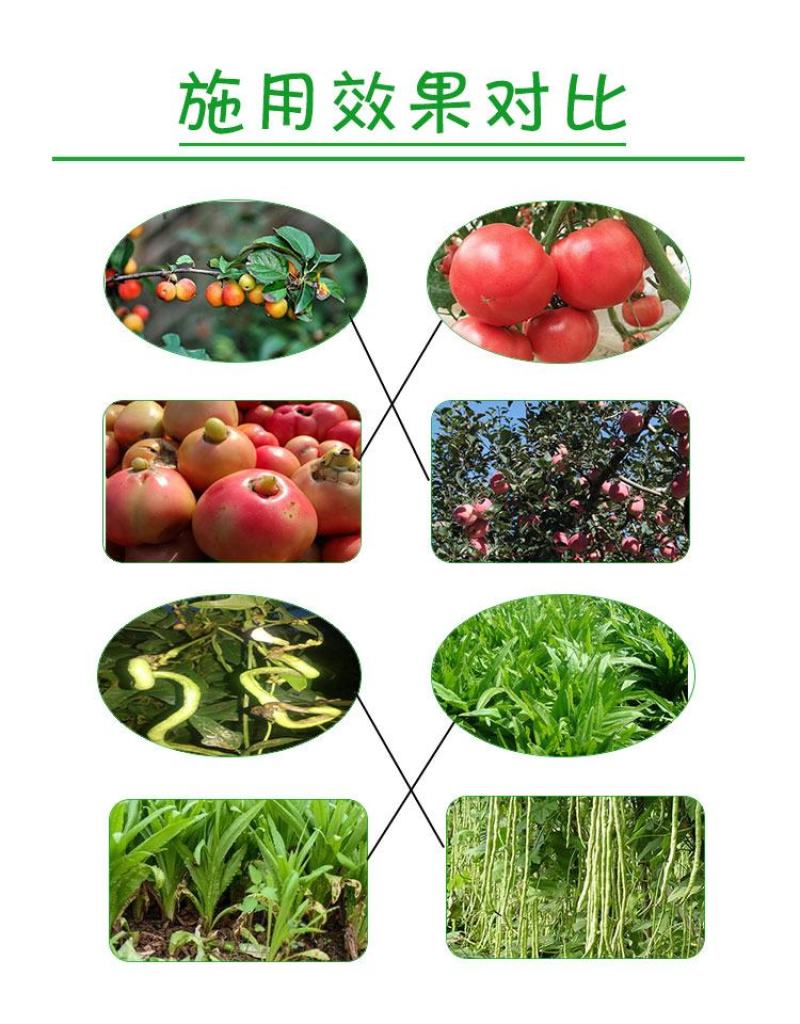 天津干鸡粪批发蓟县发酵鸡粪怎么卖津南纯干鸡粪大量出售