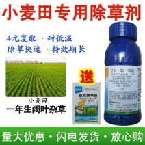 50%二甲氯双氟小麦田专用除草剂荠菜播娘蒿拉拉秧婆婆纳杂