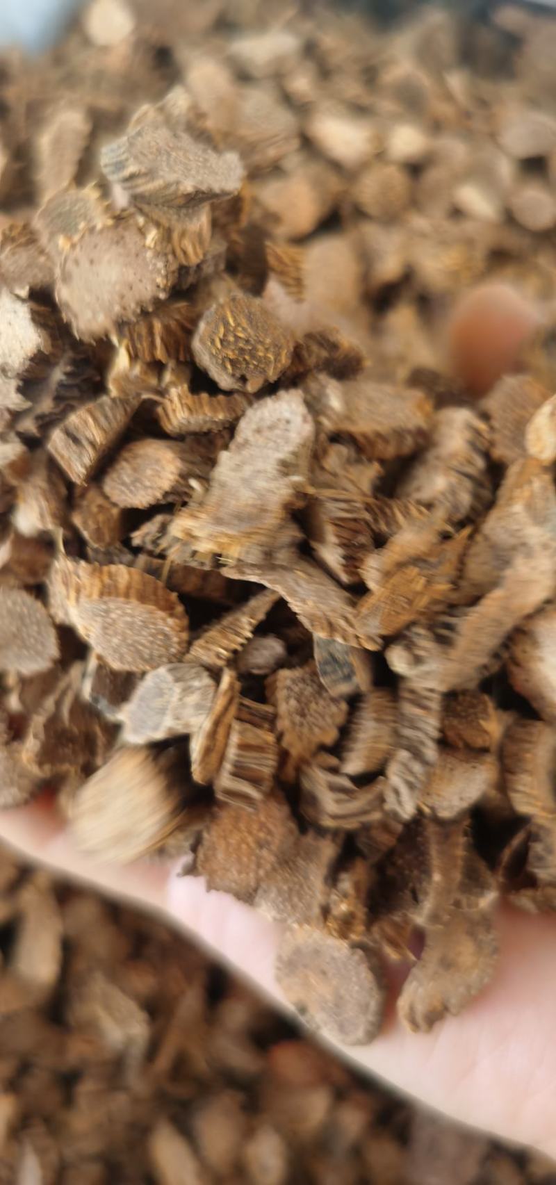 千年建圆片精品货无硫含量高量大从优直销批发