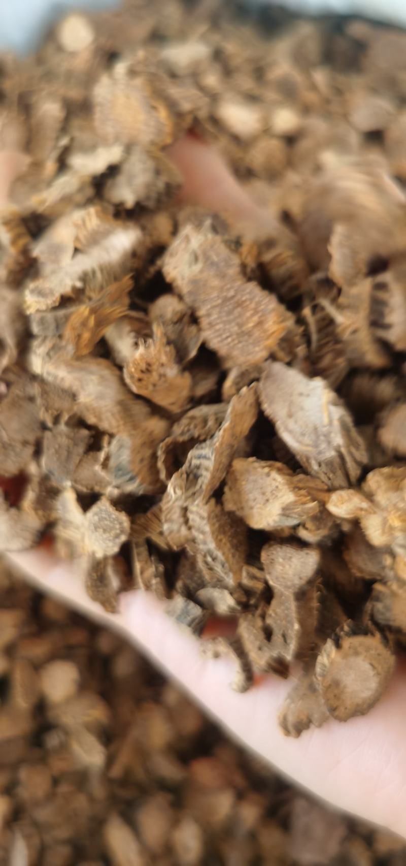 千年建圆片精品货无硫含量高量大从优直销批发