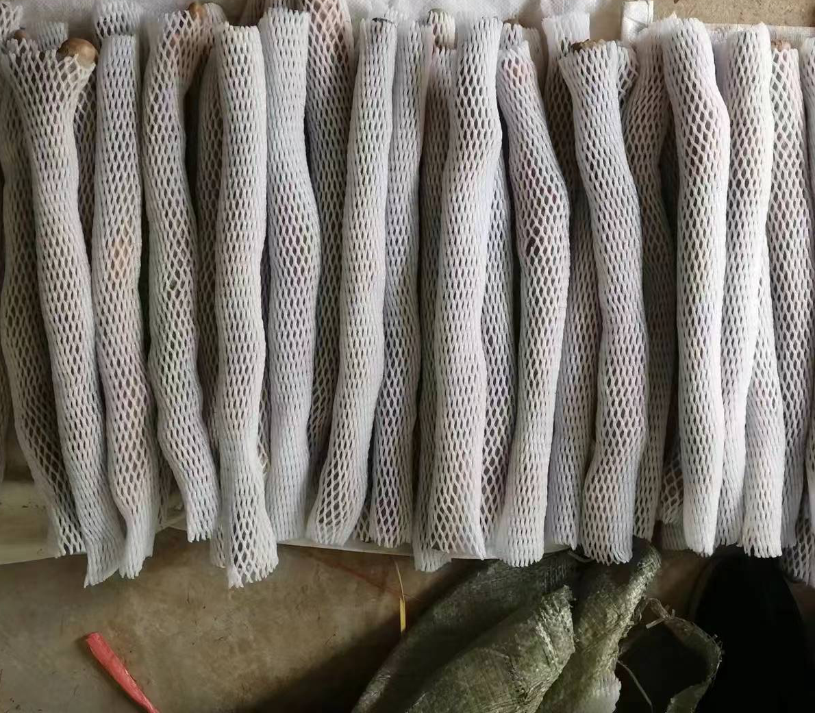 温县铁棍山药种植基地