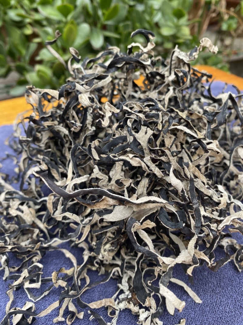 木耳丝螺蛳粉木耳丝白背木耳丝餐饮连锁供应链木耳丝