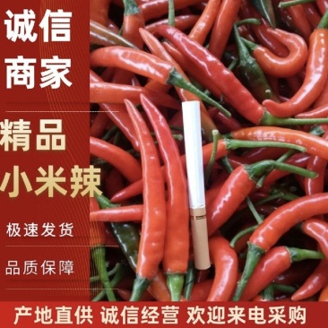 【云南】小米椒产地直采，质量保证，欢迎来电选购，量大从优