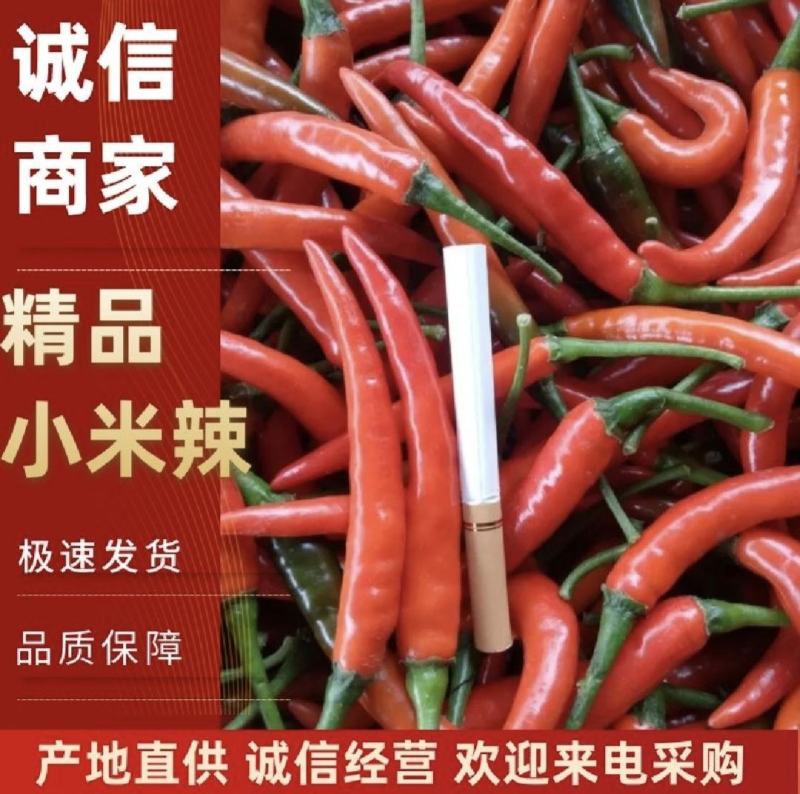 【云南】小米椒产地直采，质量保证，欢迎来电选购，量大从优