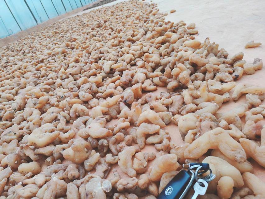 产品细节特写图