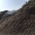 育苗泥炭土