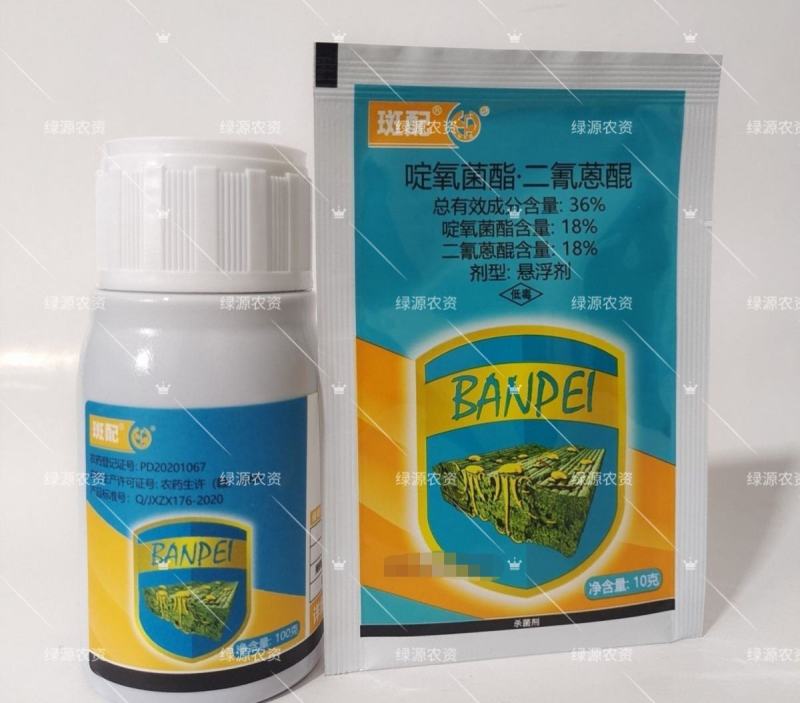 中迅36%斑配啶氧菌酯.二氰蒽醌炭疽病杀菌剂炭疽病