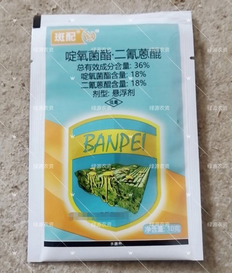 中迅36%斑配啶氧菌酯.二氰蒽醌炭疽病杀菌剂炭疽病