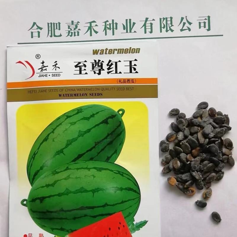 嘉禾至尊红玉礼品西瓜种子早熟耐低温椭圆形西瓜籽皮薄