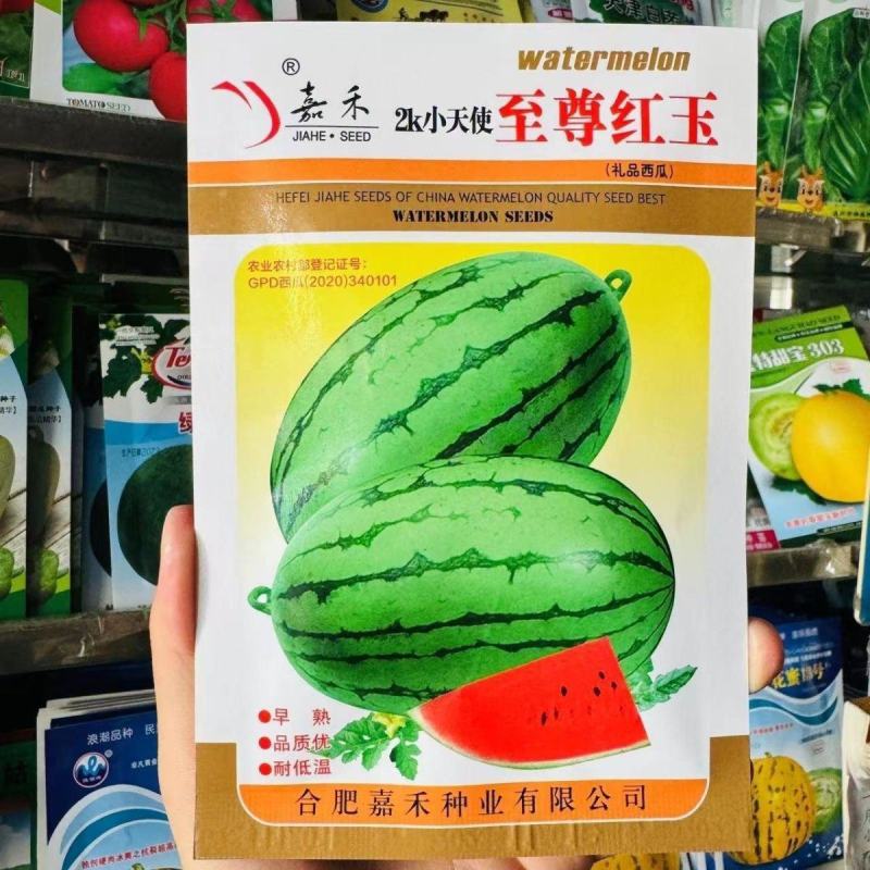 嘉禾至尊红玉礼品西瓜种子早熟耐低温椭圆形西瓜籽皮薄