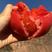 合作909大红番茄超大果型中早熟抗病果肉厚欢迎老板来电