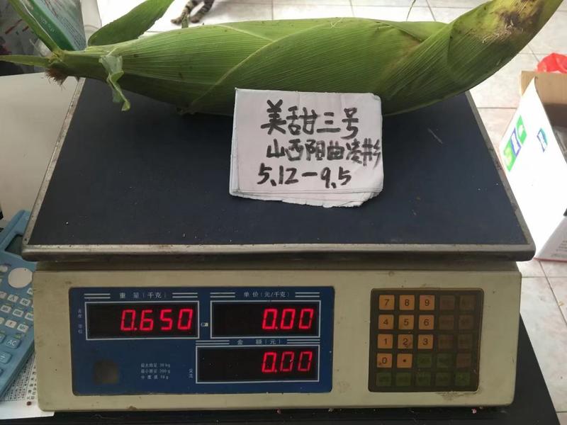泰美甜3号水果玉米种子，单棒重600克以上，品质赛泰系