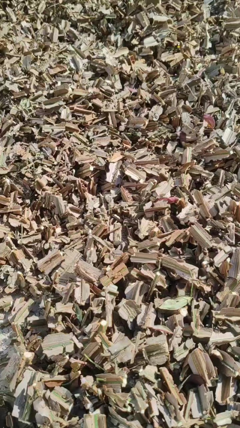 甘肃陇南鬼箭羽，价格真实，诚信商家欢迎咨询