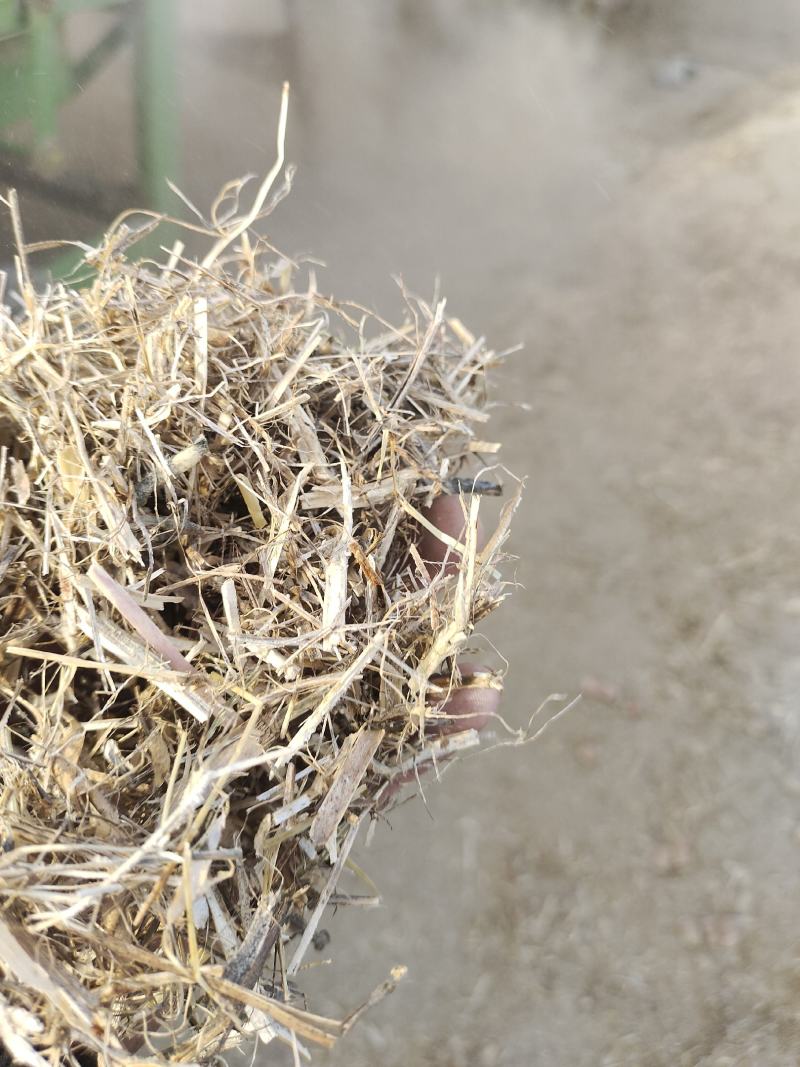 23年黄豆秸秆压块干草料，颜色黄白，过筛除尘粉碎过风选机