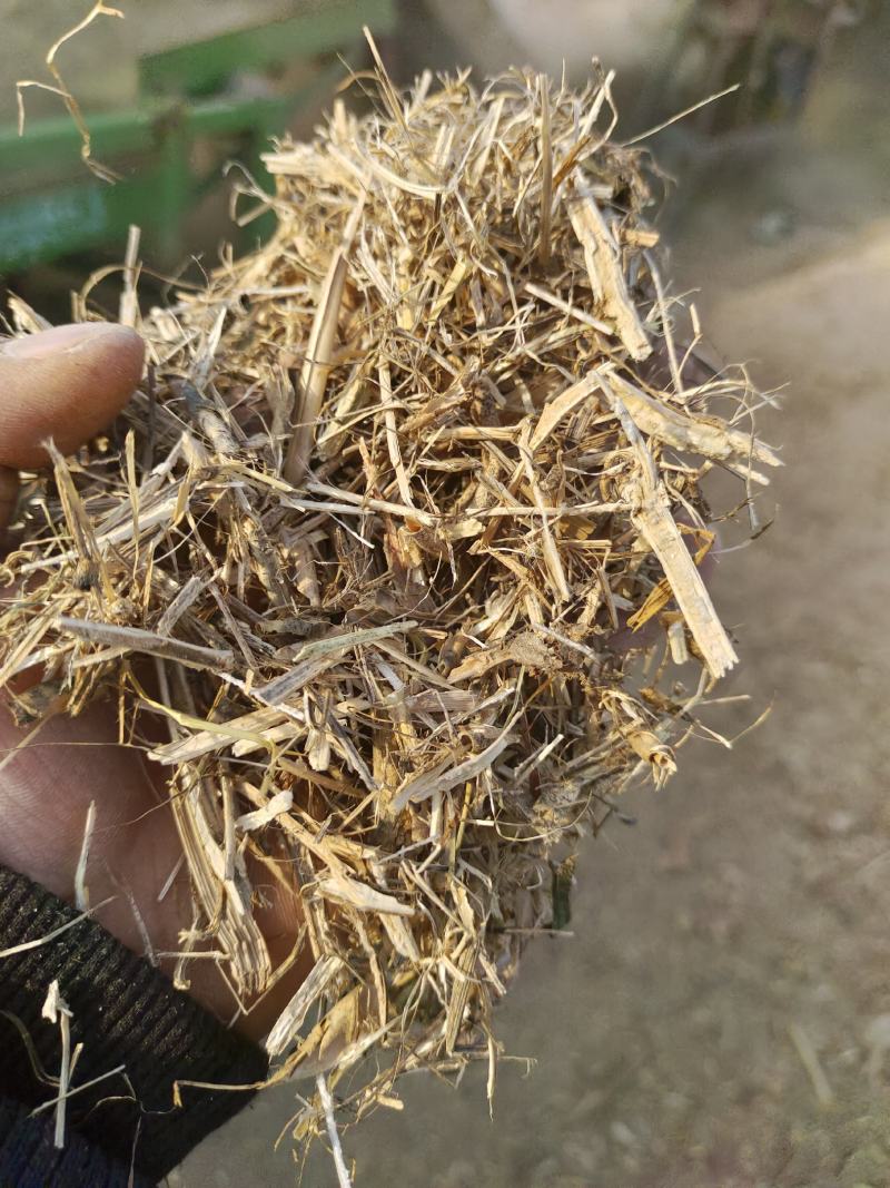 23年黄豆秸秆压块干草料，颜色黄白，过筛除尘粉碎过风选机