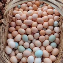 农家鸡蛋自产自销货源充足量大从优欢迎老板
