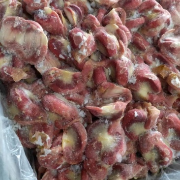 蛋鸡胗肉鸡胗三黄鸡胗乌鸡胗