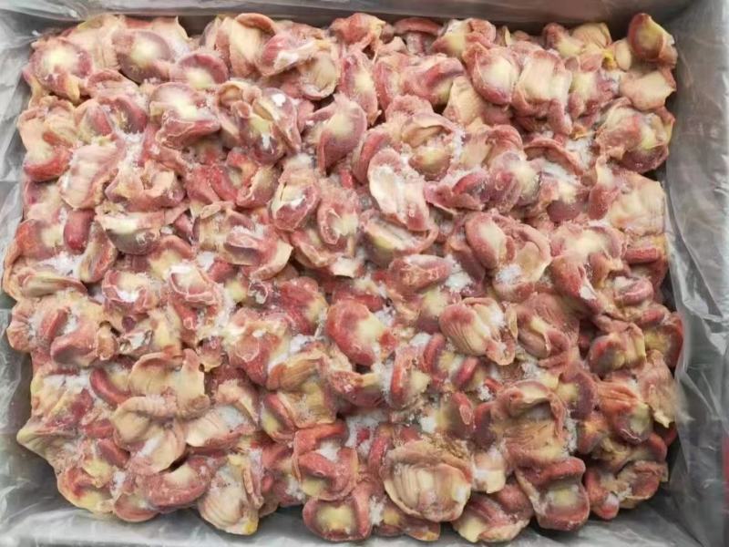 蛋鸡胗肉鸡胗三黄鸡胗乌鸡胗