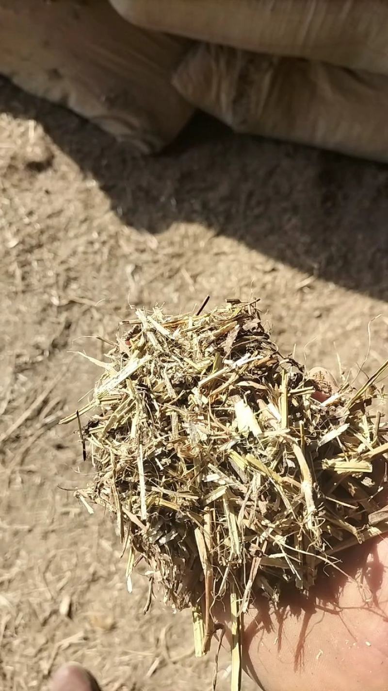 【全年实力供货】花生秧草料牛羊马驴食草动物优质草料产地直供